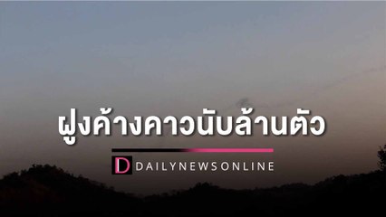 ฝูงค้างคาวนับล้านบินออกจากถ้ำผาทอง เป็นคลื่นดำสายคล้ายงูว่ายในอากาศ | HOTSHOT เดลินิวส์ 18/01/66