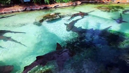 Look Inside The Worlds Most Expensive Hotel Room