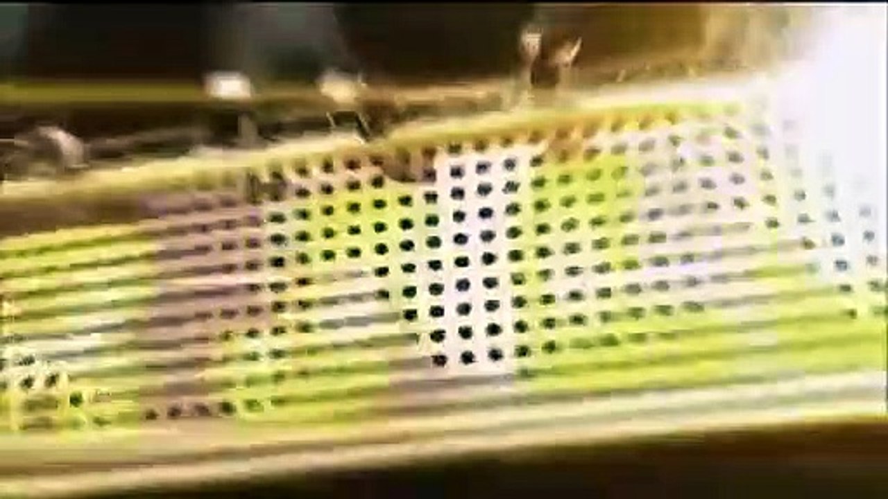 Celebrity Name Game - Se1 - Ep01 HD Watch