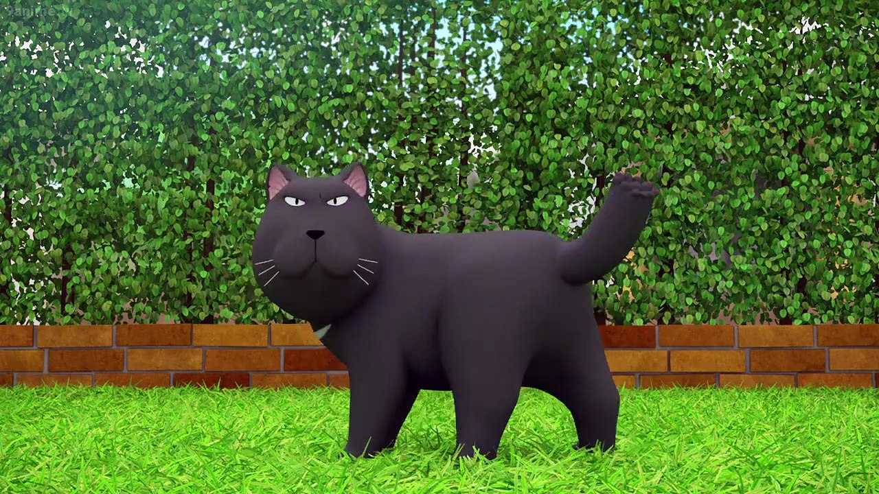 Chi's Sweet Home - Ep17 HD Watch