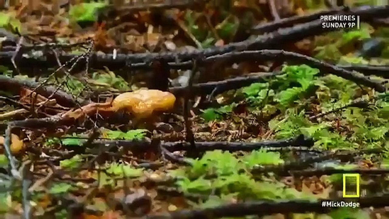 The Legend Of Mick Dodge - Se1 - Ep11 HD Watch