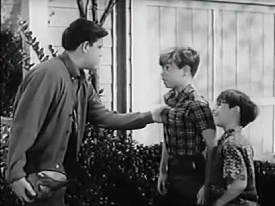 My Three Sons - Se4 - Ep18 HD Watch