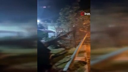 Bursa’da fırtına hayatı felç etti: Ağaçlar devrildi, otluk alan yangını depoya sıçradı