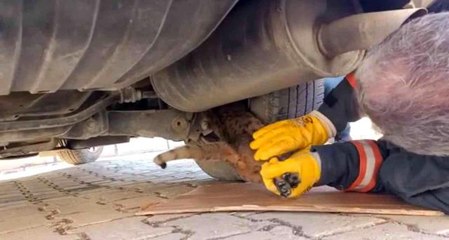 Aracın alt kısmında mahsur kalan kedi böyle kurtarıldı