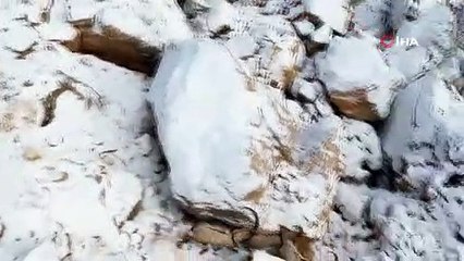 Erzincan’da Dağ Keçileri Dron ile Kaydedildi