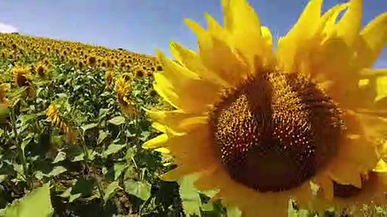Лято 2014