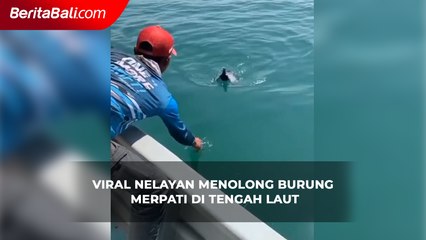 Viral nelayan menolong burung merpati di tengah laut
