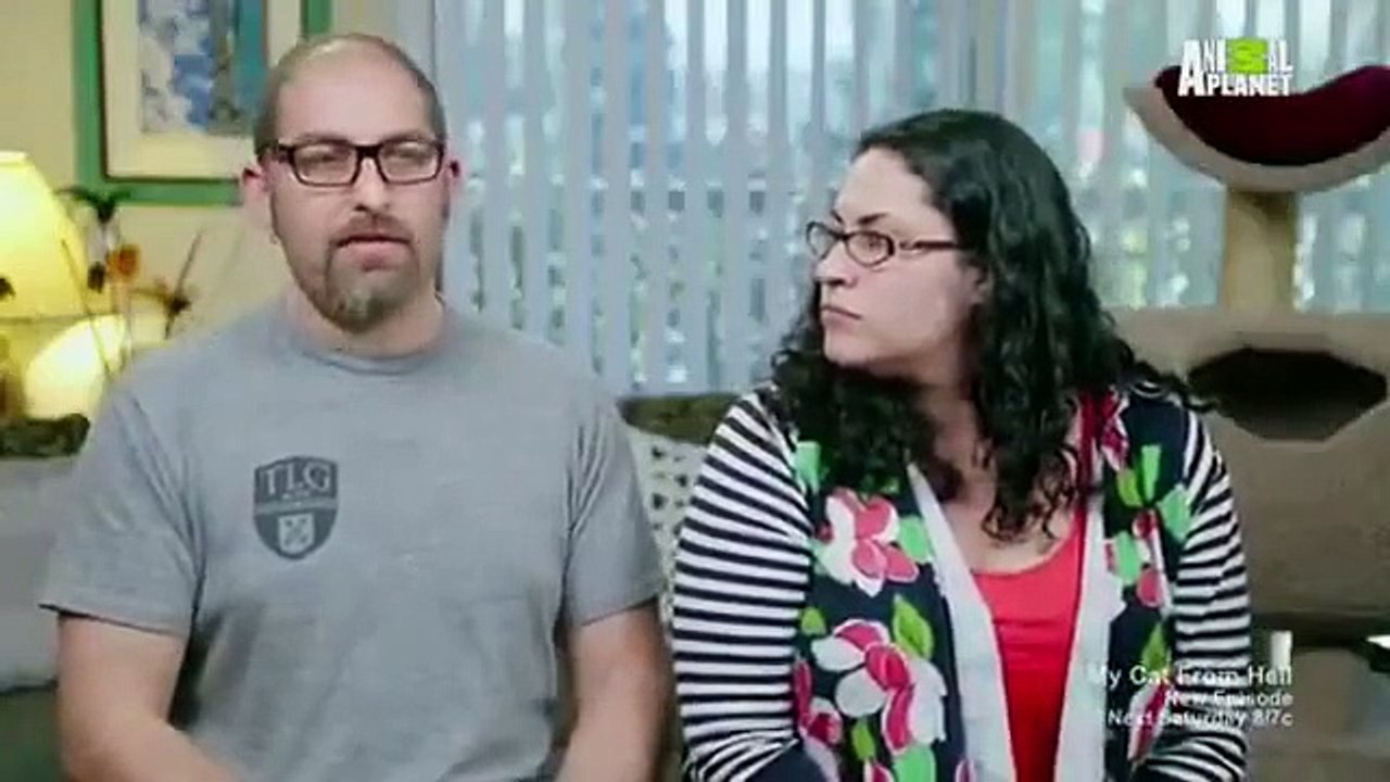 My Cat from Hell - Se5 - Ep16 - Appetite for Destruction HD Watch