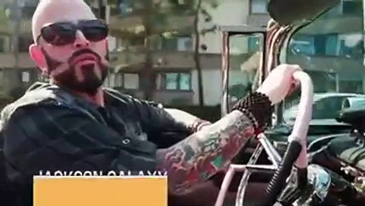 My Cat From Hell - Se8 - Ep01 - Crazy Cat Opens Doors HD Watch