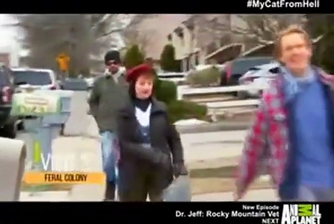 My Cat from Hell - Se8 - Ep07 - Gotham Feral Cats HD Watch