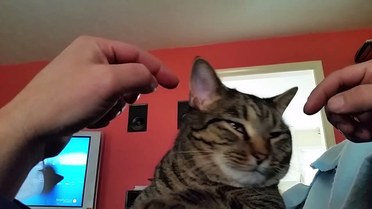 Lillys ear scratch