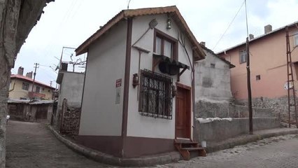 Babasının yadigarı eşyalar antika tutkunu yaptı