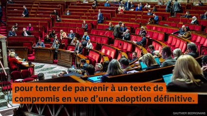 Projet de loi sur les énergies renouvelables : les principales mesures du texte