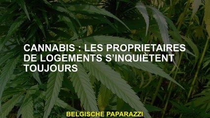 Cannabis: les propriétaires de logements sont toujours inquiets