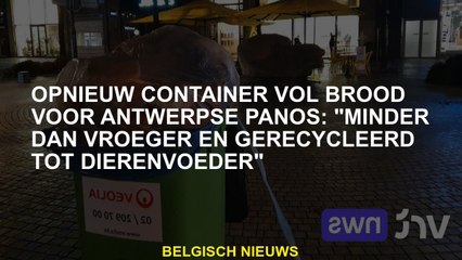 Wederom container vol met brood voor Antwerpen Panos: "Minder dan voorheen en gerecycled in diervoed