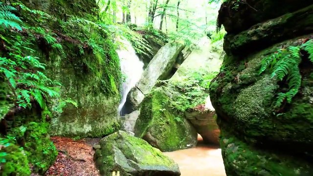 Beautiful Relaxing Music Peaceful Piano Music, Stress Relief, Deep Focus, Peaceful Relaxation