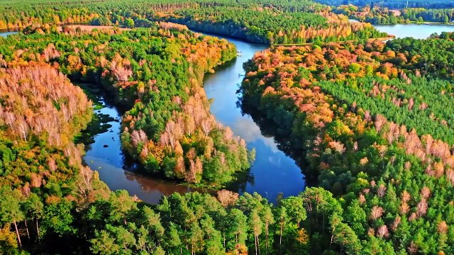 Healing music for the heart and blood vessels calms the nervous system and pleases the soul
