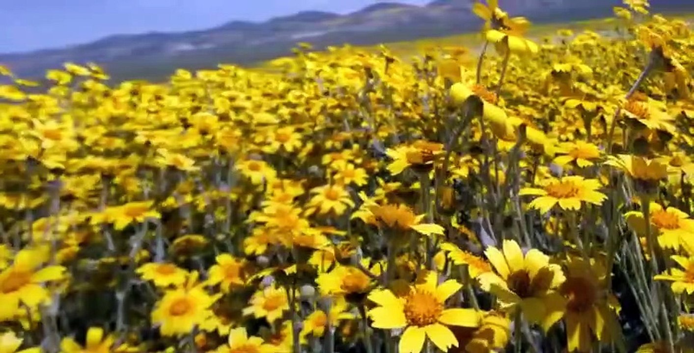 Our Planet S01 E05