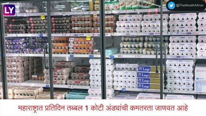 Eggs Shortage In Maharashtra: राज्यात प्रतिदिन तब्बल 1 कोटी अंड्यांची कमतरता, भावही वाढले