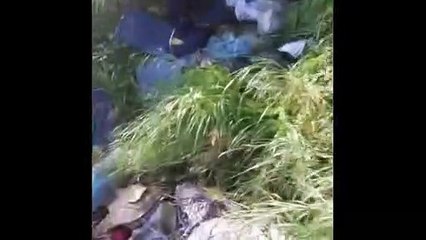 Cosenza, Parco del Benessere insidiato dal degrado... e dai topi