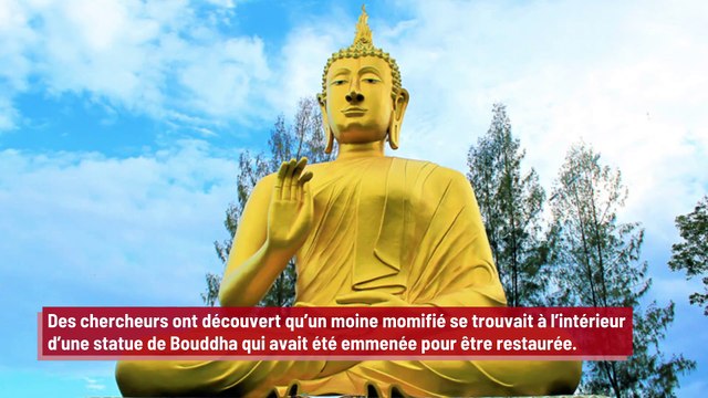 Des chercheurs découvrent un moine momifié dans une statue de Bouddha !