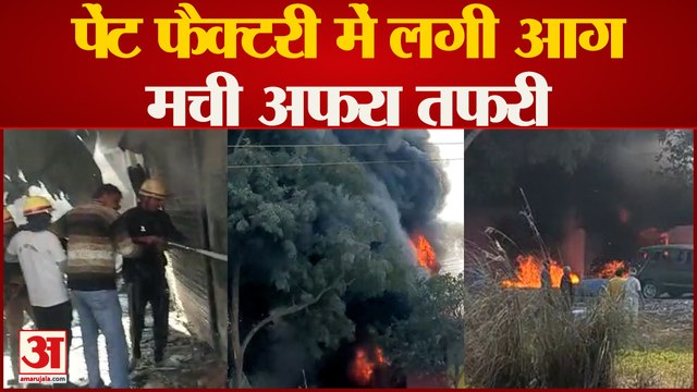 Bareilly News : पेंट फैक्टरी में लगी भीषण आग, मौके पर पहुंची दमकल की कई गाड़ियां | Fire in Factory