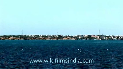 The submerged city of Dwarka from the shore
