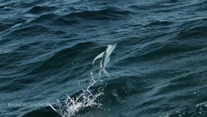 Surround of Fantasy - Uplifting trance 2023