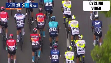 Major Crash Disrupts Jumbo-Visma at Tour Down Under 🚴‍♂️