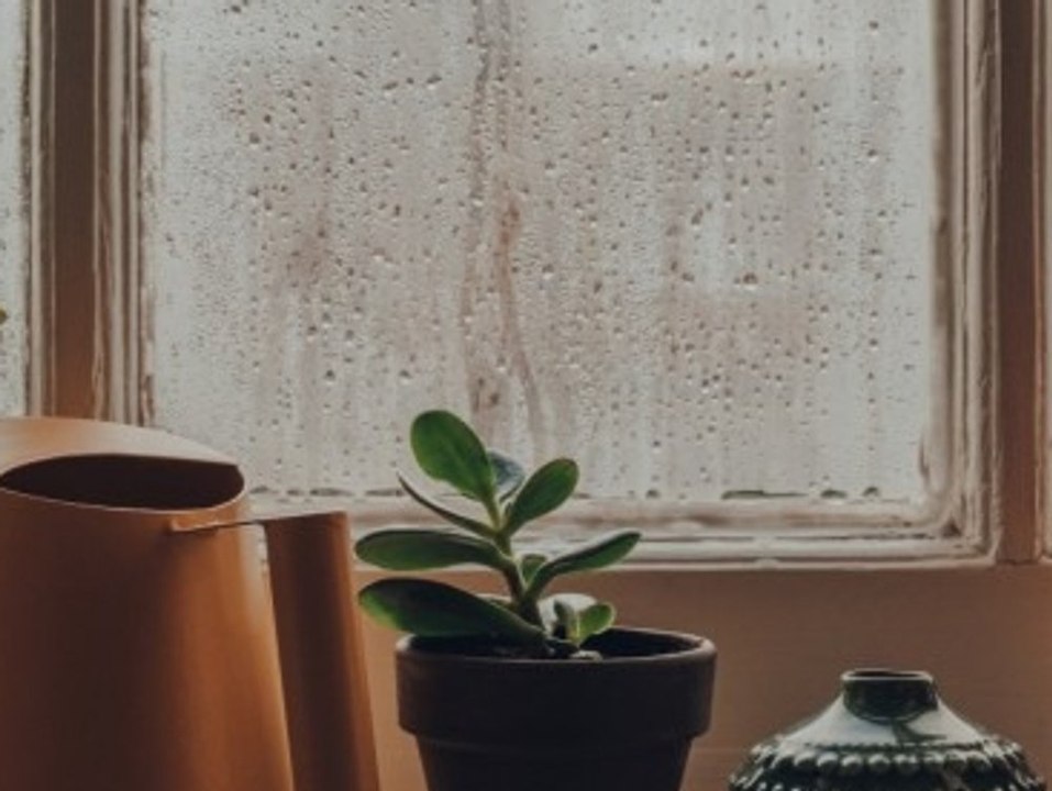 Beschlagene Fenster: 5 Tipps gegen Kondenswasser im Winter