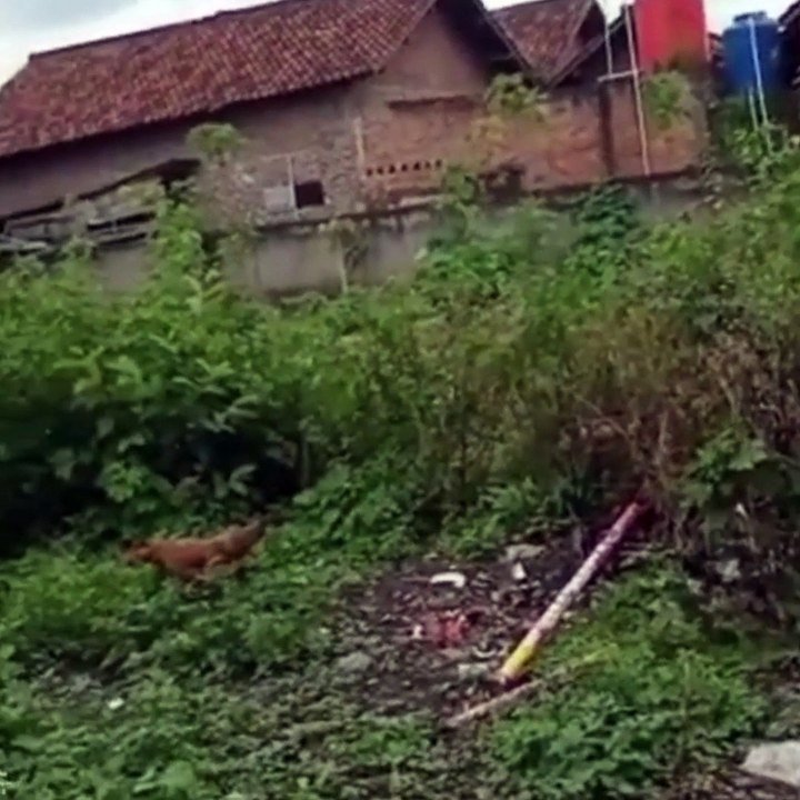 Even though the alley is narrow, my raindrops still live for you, a heart #weightlossjourney #fitnessjourney #journeychallenge #journeysofgirls #journeytosplits #journeypremium Even though the alley is narrow, my r