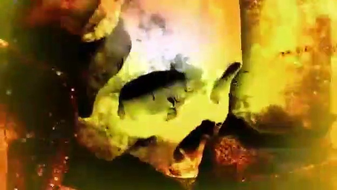 Ghost Hunters International - Se2 - Ep19 HD Watch