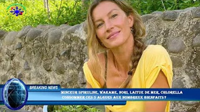 MINCEUR Spiruline, wakame, nori, laitue de mer, chlorella consommer ces 5 algues aux nombreux bienf