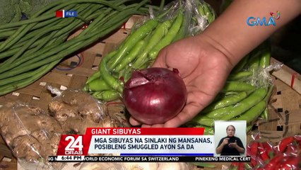 Mga sibuyas na sinlaki ng mansanas,posibleng smuggled ayon sa DA | 24 Oras