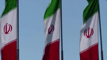 주한이란대사관 "2번째 교역 상대 UAE와 관계 발전" 강조 / YTN