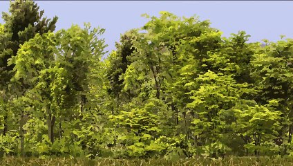 Le captage du CO2 dans l'air ambiant