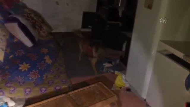 Digor ilçesinde 4 uyuşturucu kaçakçısı yakalandı