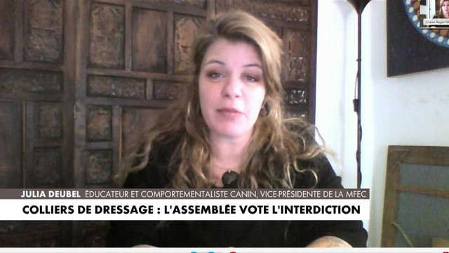 Julia Deubel sur l’interdiction des colliers de dressage :«Il existe d’autres méthodes, nous ne sommes pas obligés d’être dans un rapport de force avec l’animal» dans #LaParoleAuxFrançais
