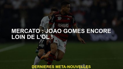 Mercato: João Gomes encore loin d'Ol!