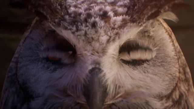 Hogwarts Legacy hace su magia en este nuevo tráiler cinemático