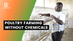 Burkina Faso: Poultry farming without chemicals