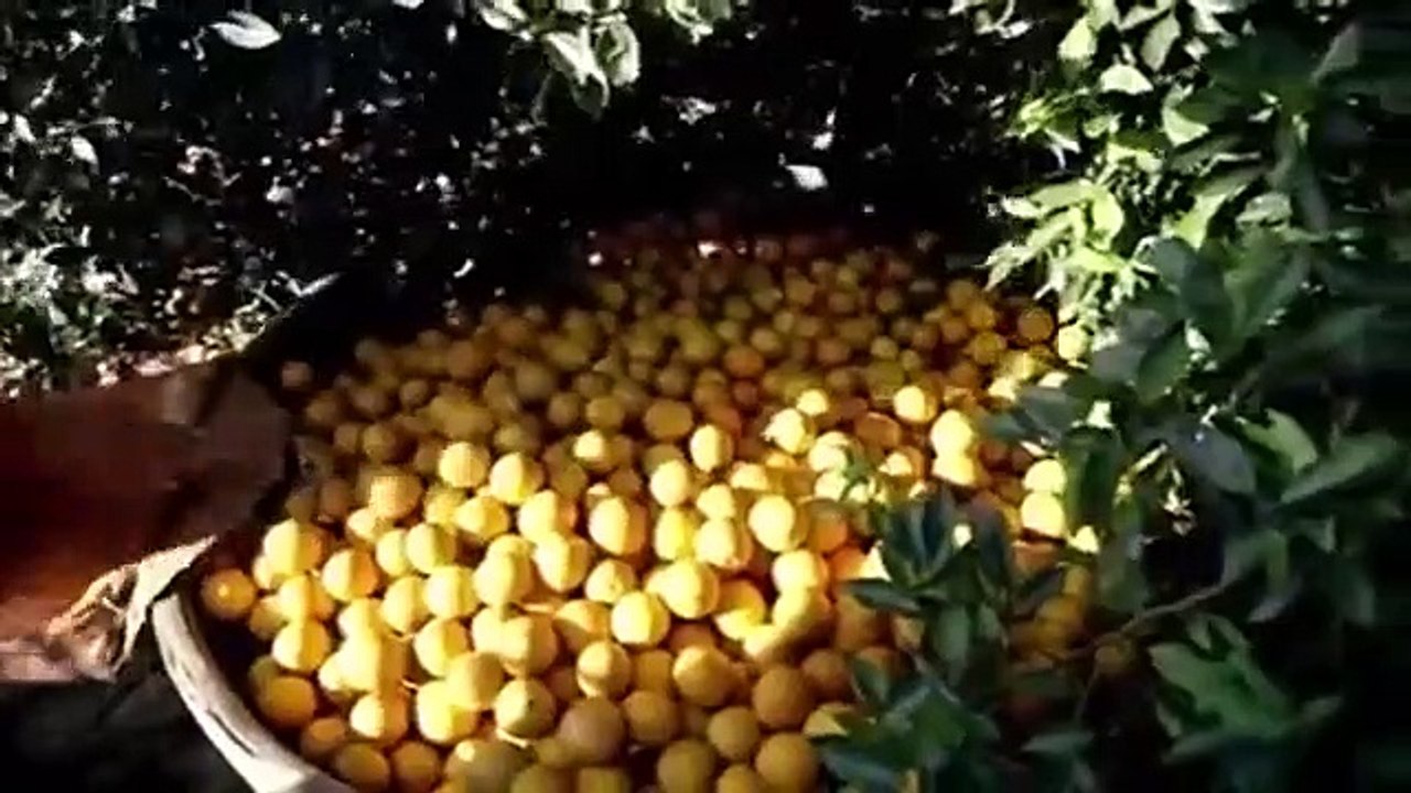 Morgan Spurlock Inside Man - Se1 - Ep03 HD Watch