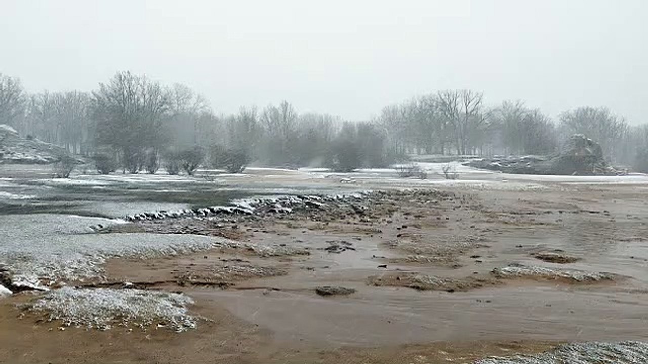 Temporal en el pantano