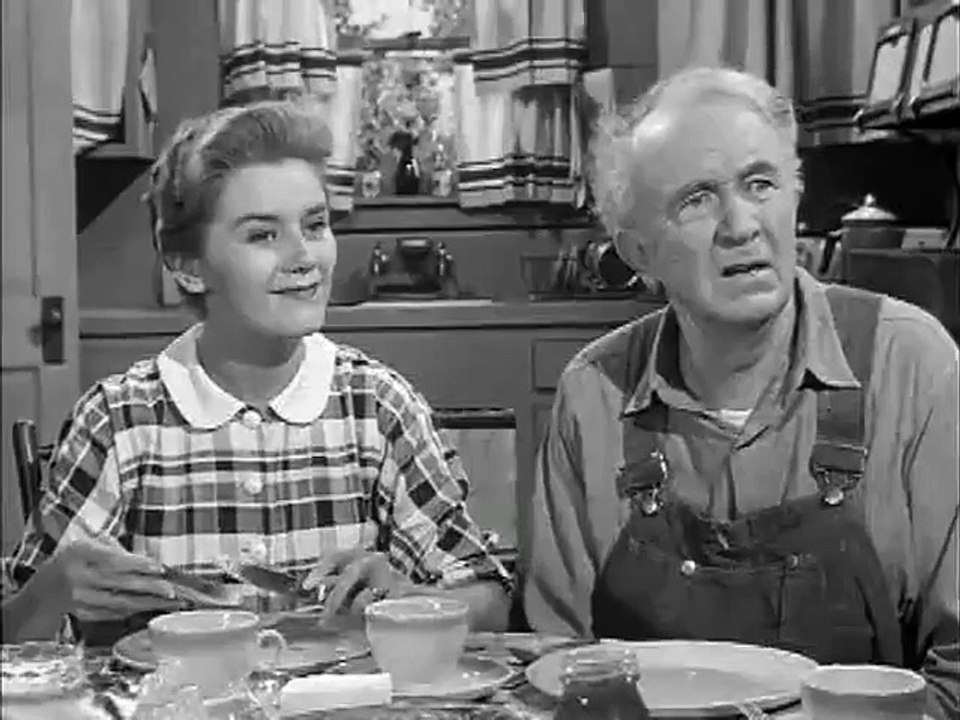 The Real McCoys - Se2 - Ep08 HD Watch