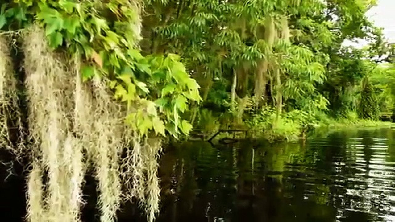 I Was Prey - Se1 - Ep02 - Wicked Bite HD Watch