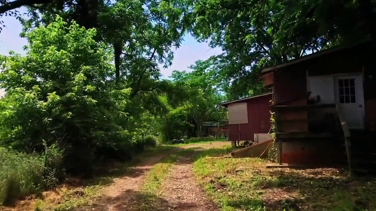 Mur-'der in the Heartland - Se3 - Ep06 - Ozark Enchantment HD Watch