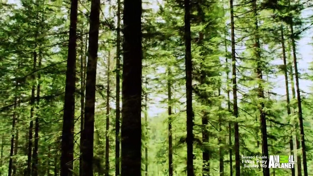 I Was Prey - Se1 - Ep05 - Invisible Assassin HD Watch