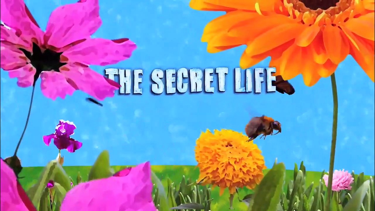 The Secret Life of the American Teenager - Se1 - Ep13 - Baked Nevada HD Watch