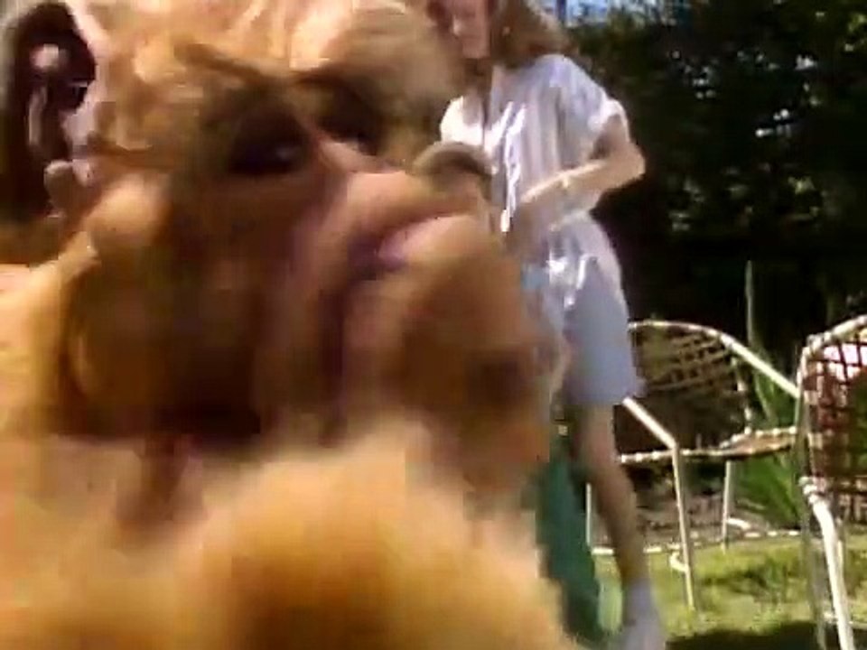 ALF - Se2 - Ep22 - I'm Your Puppet HD Watch