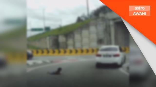 Kemalangan | Kanak-kanak tercampak, Polis kesan pemilik kenderaan